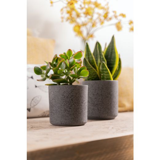 Cylinder Planter Ceramic black h13 d13 