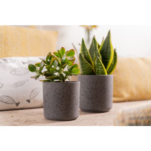 Cylinder Planter Ceramic black h15 d15 