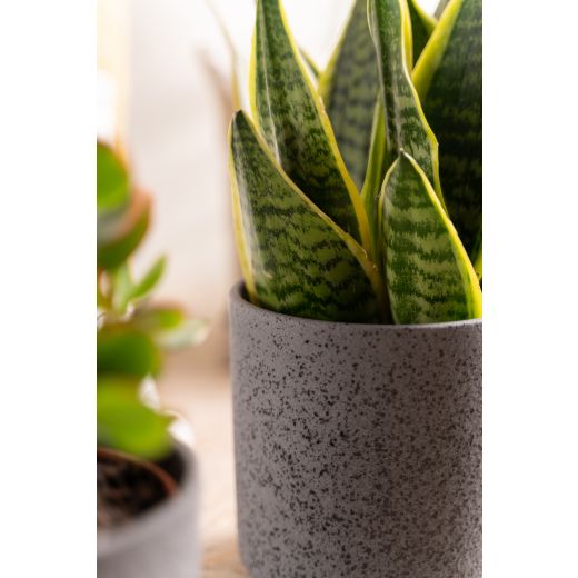 Cylinder Planter Ceramic black h15 d15 