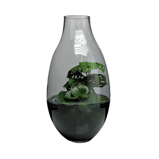 Ramon Terrarium h56 d29 (cc)