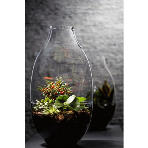 Ramon Terrarium h56 d29 (cc)