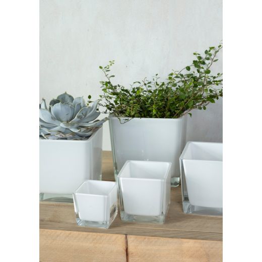 Regular Cubic Vase white 6x6x6cm 