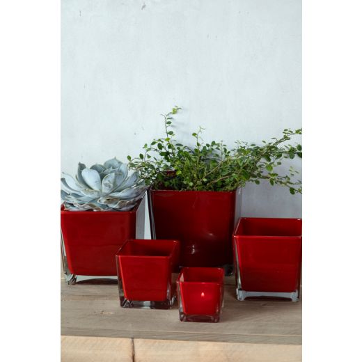 Regular Cubic Vase red 6x6x6cm 