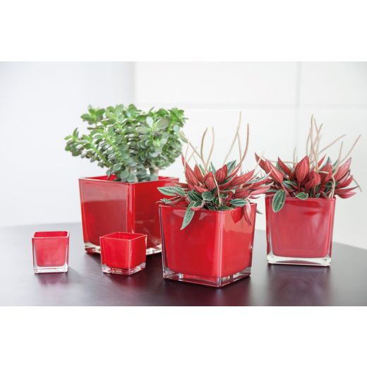 Regular Cubic Vase red 12x12x12cm 