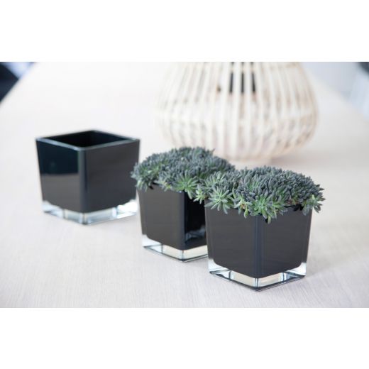 Regular Cubic Vase black 6x6x6cm 