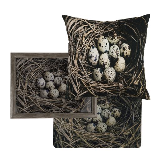 kanevas kissen eier in nest 50x50cm*