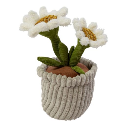 Door stopper plant daisy h23 