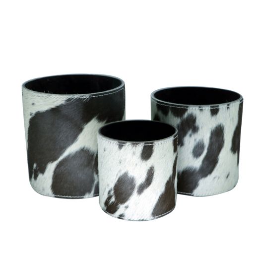 flower pot cow black/white (set of 3) (bos taurus taurus)*