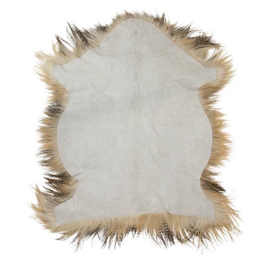 fur goat tibet long hair 65x85cm (capra aegagrus hircus)