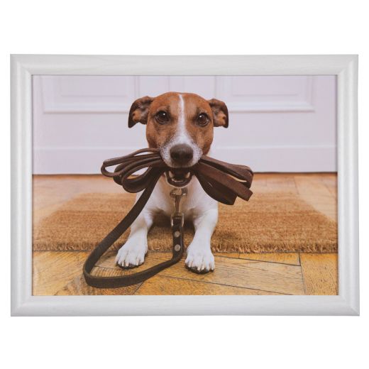 laptray humor jack russell 43cm