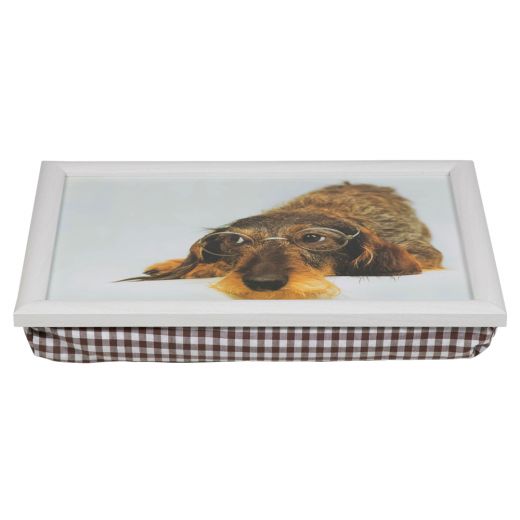 laptray humour wire haired dachshund 43cm*