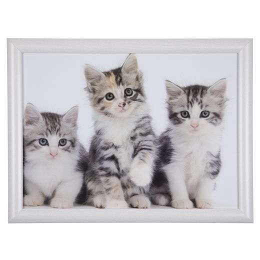 laptray kittens 43cm