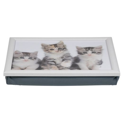 laptray kittens 43cm