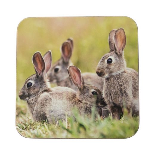 Dessous de verre famille des lapins 10x10cm (set of 6)