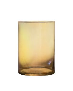 Essentials Levi cylinder luster amber transparent H21 D14 