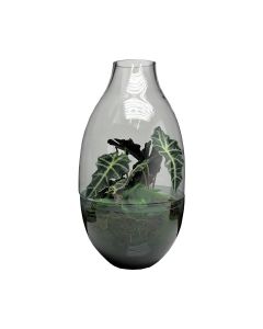 Ramon Terrarium h64 d34 (cc)