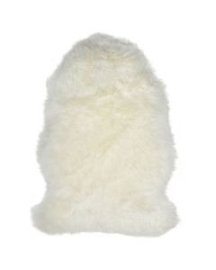 fur sheep new zealand white 90-100cm (ovis aries)