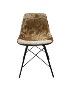 chair cow brown white x 79cm (self assembly) (bos taurus taurus)