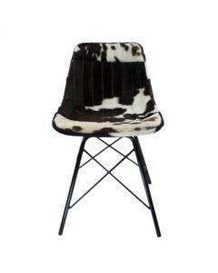 chair cow black white x 79cm (self assembly) (bos taurus taurus)