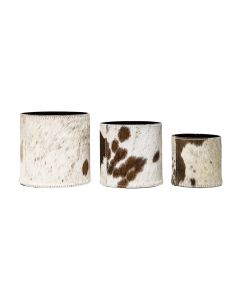 flower pot cow hide brown/white (set of 3) (bos taurus taurus)*