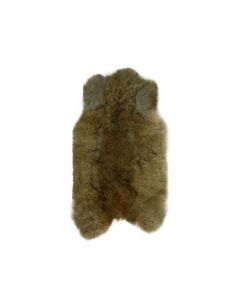 fur rabbit brown 40cm (oryctolagus cuniculus)