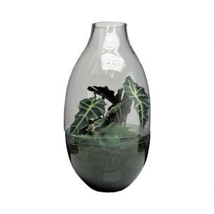 Ramon Terrarium h64 d34 (cc)