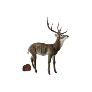 Animated Deer brown H171 D138x63