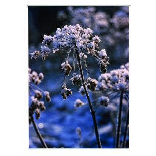 Snow Outdoor TextielPoster fotoprint 95x130cm 