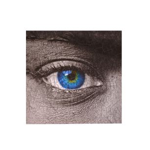 Indoor painting Silver eye 50 cm x 50 cm