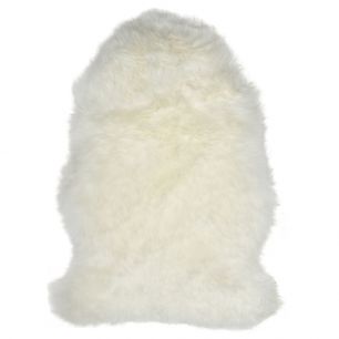 fur sheep new zealand white 90-100cm (ovis aries)