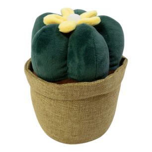 Door stopper plant cactus h23 