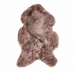 fur sheep iceland shaved rust 100-110cm (ovis aries)