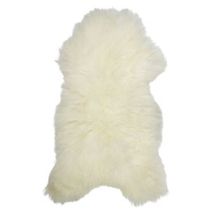 fur sheep iceland white 100-110cm (ovis aries)