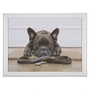 laptray humour french bulldog 43cm