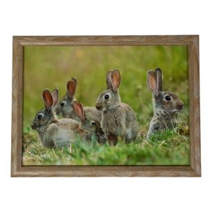 Laptray rabbits family 43cm