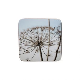 coaster nature hogweed 10x10cm (6)