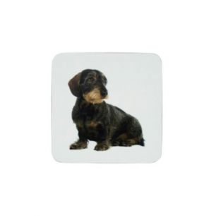 coaster dachshund 10x10cm (6)