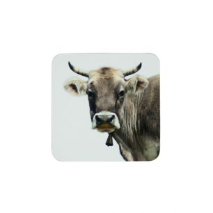 coaster swiss cow 10x10cm (6)